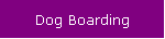 Dog Boarding
