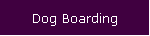 Dog Boarding