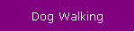 Dog Walking