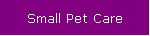 Small Pet Care