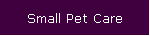 Small Pet Care